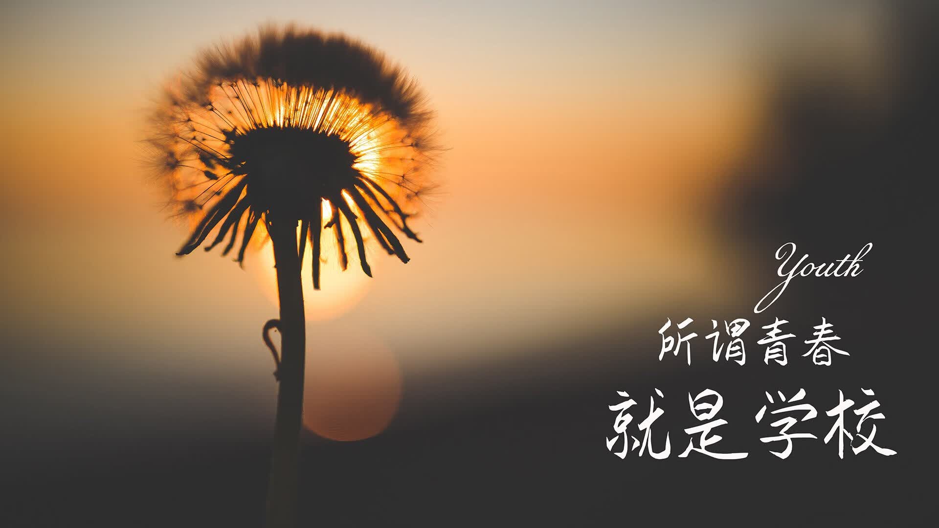 DOTA2的情怀营销：为什么TI主题曲总能让老玩家泪流满面？，dota2 主题曲